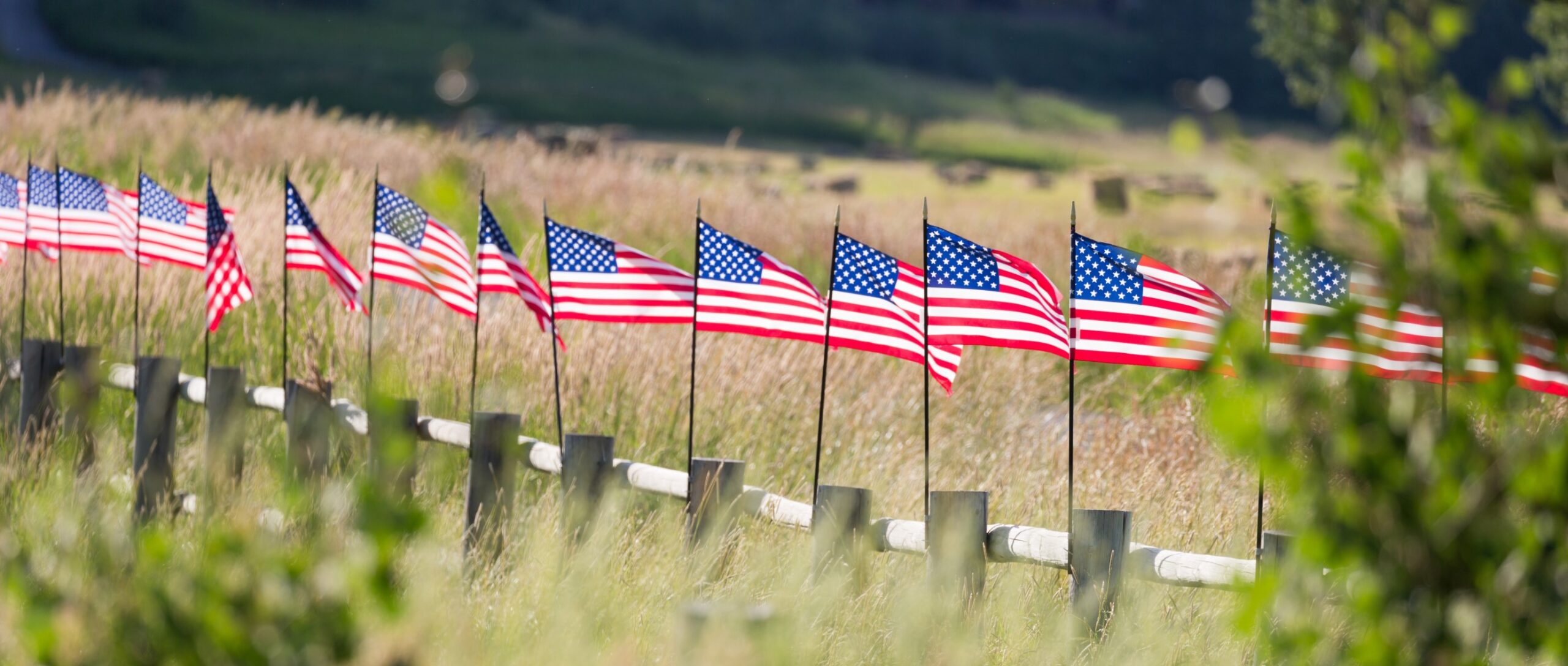 United States Flags in a field